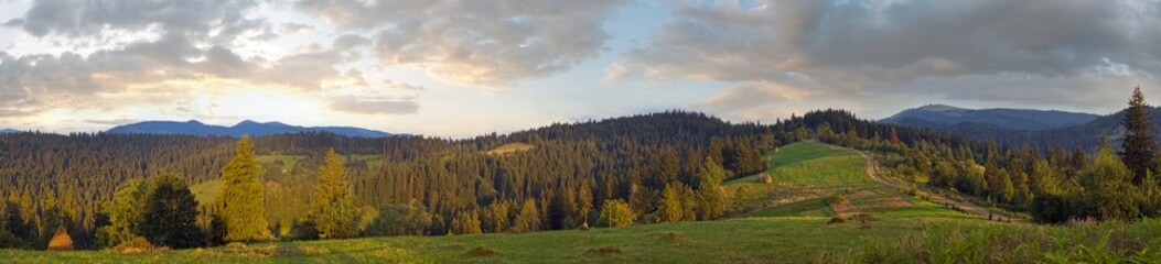 Fototapeta na wymiar Summer panorama view on mountainous green pasture meadow, Slavske village, Carpathians, Ukraine.
