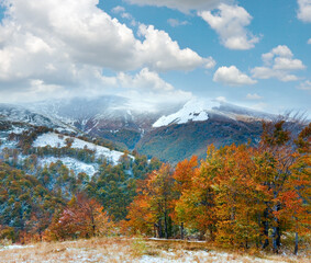 First winter snow and autumn colorful foliage on mountain