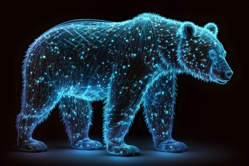 Bear Animals illustrations