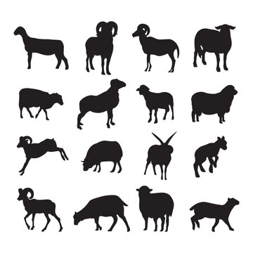 Sheep silhouette vector illustration set