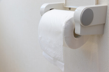 壁に備え付けられた白のトイレットペーパー