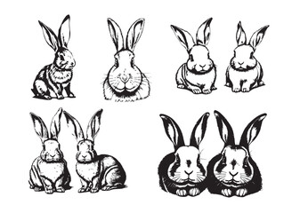 Bunny Collection, Bunny Set, Bunny Graphics, Rabbits, Easter Bunnies