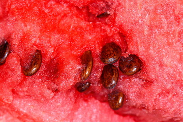 detailed closeup of watermelon. macro watermelon texture.