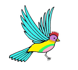 colorful tropical bird