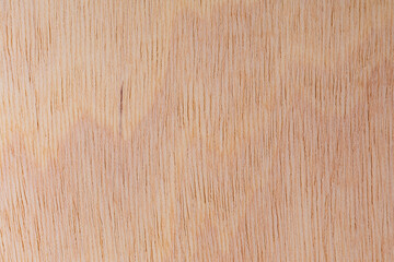 Light rough textured cut surface of an African tree. Wood background or blank for design