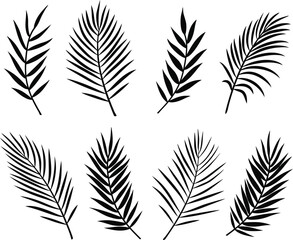 Palm leaves vector illustration set of palm leaf and branches silhouette black color shapes