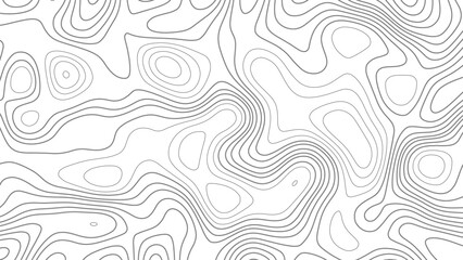 Topographic map background concept. White wave paper curved reliefs abstract background, Abstract topographic contours map background. Vector geographic contour map.  © Song Long