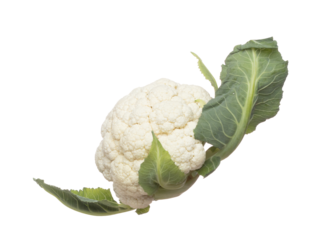 Cauliflower fly in mid air, green fresh vegetable cauliflower falling. Organic fresh vegetable with eaten leaf of cauliflower, close up texture. White background isolated freeze motion high speed