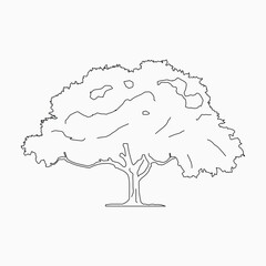 Tree coloring book page. Black and white