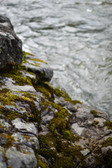 Moss covered rocks along the Youghiogheny River in Ohiopyle, Pennsylvania