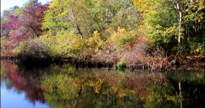 Fall Foliage Reflected in Pond at Brewster, Cape Cod in New  England