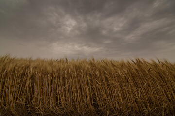 storm over the field