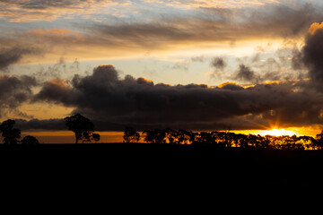 Silhouette landscape with dramatic sunset