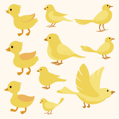 pattern with birds