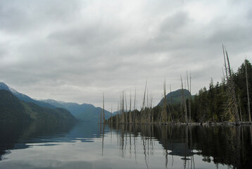 A calm day on Great Central Lake near Port Alberni, Vancouver Island, BC, Canada
