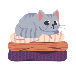 resting cat on cushion