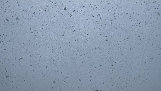 Snowflakes falling from a gray, stormy sky during a New England Blizzard at Chatham, Cape Cod