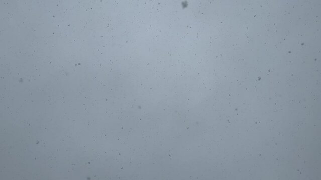 Snowflakes falling from a gray, stormy sky during a New England Blizzard at Chatham, Cape Cod