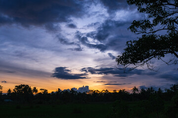 Fototapeta na wymiar Blueish sky with wisps of clouds at dawn.