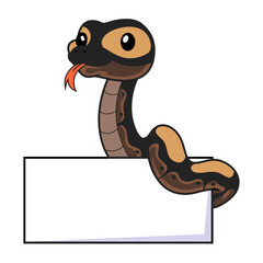 Fototapeta premium Cute ghi mojave ball python cartoon with blank sign