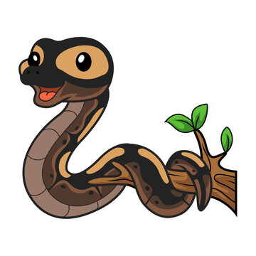 Cute ghi mojave ball python cartoon on tree branch