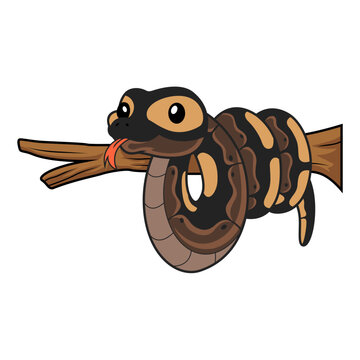 Cute ghi mojave ball python cartoon on tree branch
