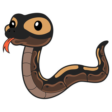 Cute ghi mojave ball python cartoon