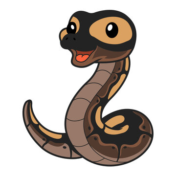 Cute ghi mojave ball python cartoon