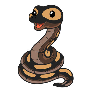 Cute ghi mojave ball python cartoon