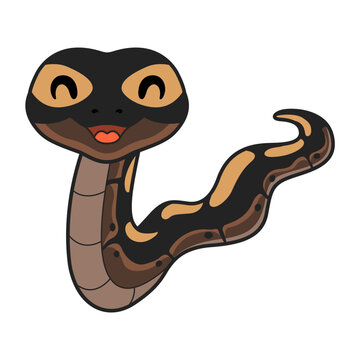 Cute ghi mojave ball python cartoon