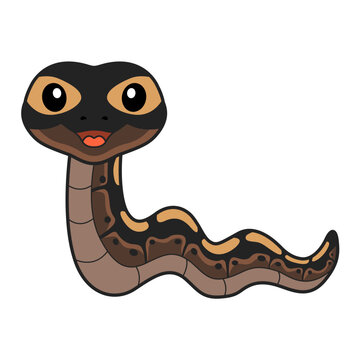 Cute ghi mojave ball python cartoon
