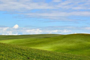 The endless, verdant Kalajun Prairie in Xinjiang