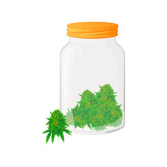 Medical cannabis marijuana buds in glass jar or bottle. CBD for healthcare. Vector illustration cartoon flat icon.