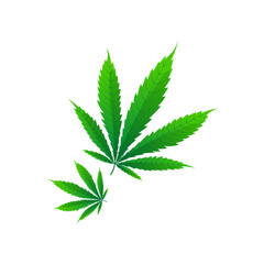 Medical cannabis marijuana two leaves. CBD for healthcare. Vector illustration cartoon flat icon.