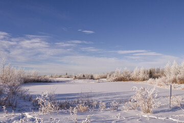 Pylypow Wetlands on a Frosty Winter Day