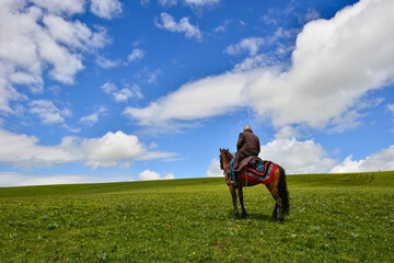 Fototapeta na wymiar The horses on the Kalajun prairie in Xinjiang .