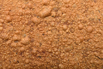 Texture of rotten bean sheet