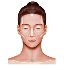 여성얼굴 근육 메디컬일러스트