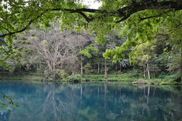 Beautiful scenic view lake with blue water and green trees