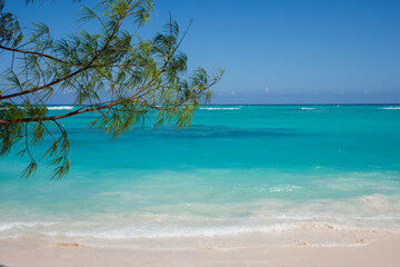 Dominican Republic Bavaro Punta cana provinces La Altagracia. Tropical beach, white sand