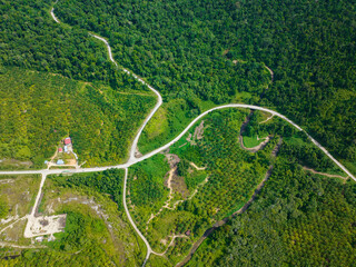 Aerial view of oil palm plantations and rainforest. Palm oil estate in Borneo, Malaysia. Environmental destruction.