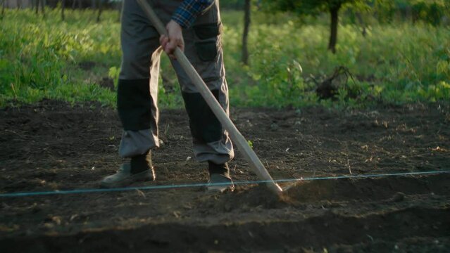 Farmer making lines in the dirt to plant crops. Man gardening