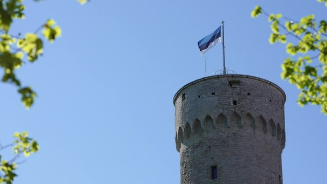 Estonian flag in high Herman Tower in sunny summer day. Tallinn, Estonia, Europe.