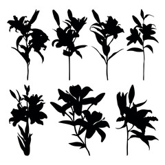 Lilies flowers silhouette set stencil templates for stickers cutting