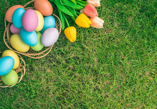 Happy Easter holiday greeting card concept. Colorful Easter Eggs and spring flowers on green grasses background. Flat lay, top view, copy space.