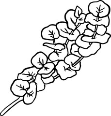 Hand Drawn Sketch Round Leaves Branch.