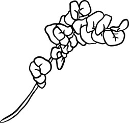 Hand Drawn Sketch Round Leaves Branch.