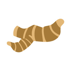 良姜。フラットなベクターイラスト。
Lesser galangal. Flat designed vector illustration.