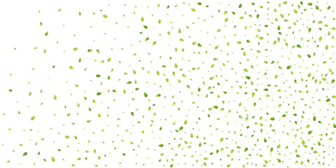 Leaves Green Falling Flying Foliage Leaf Tea Mint