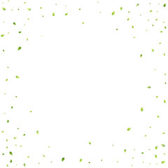 Leaves Green Falling Flying Foliage Leaf Tea Mint